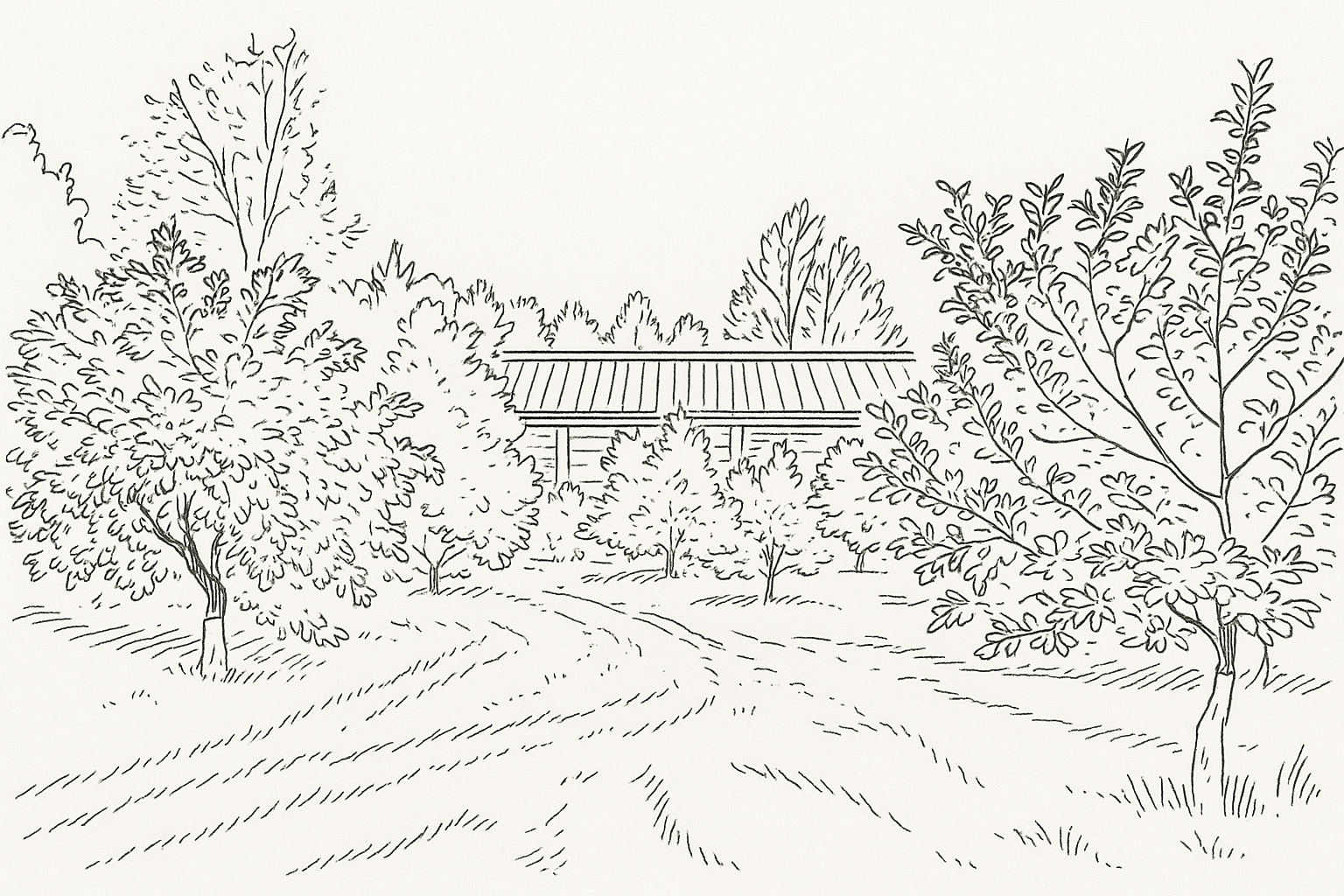 Площадка в яблоневом саду